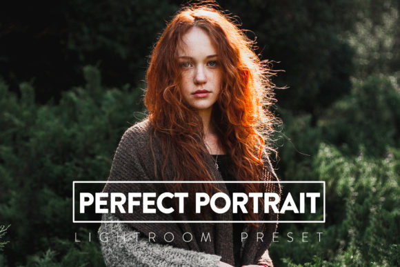 Download 10 Perfect Portrait Lightroom Preset - Premium Resources